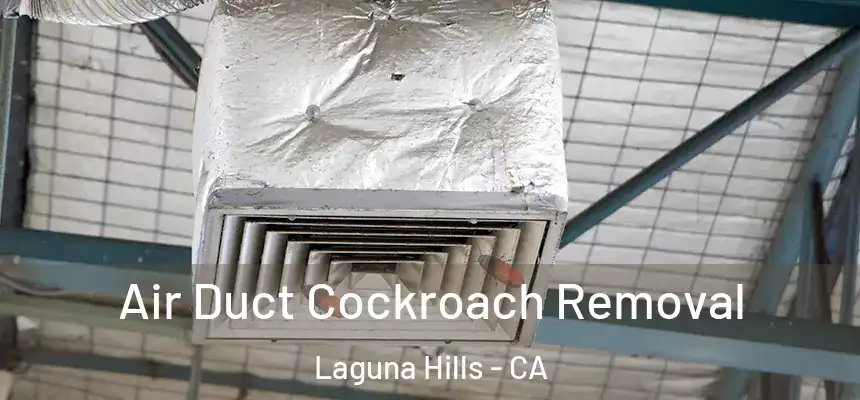 Air Duct Cockroach Removal Laguna Hills - CA