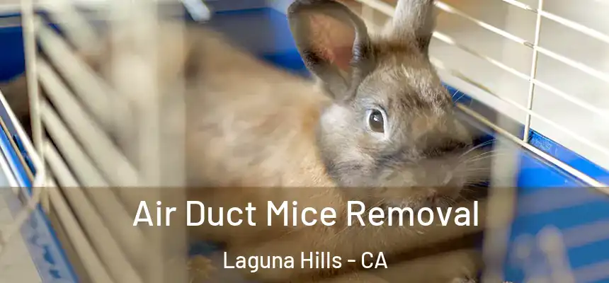 Air Duct Mice Removal Laguna Hills - CA