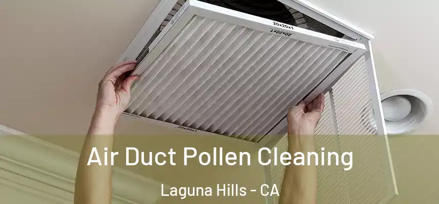 Air Duct Pollen Cleaning Laguna Hills - CA