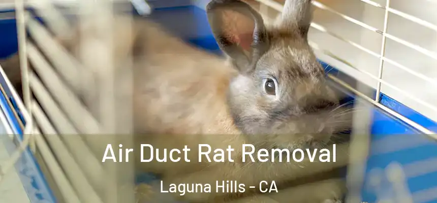 Air Duct Rat Removal Laguna Hills - CA