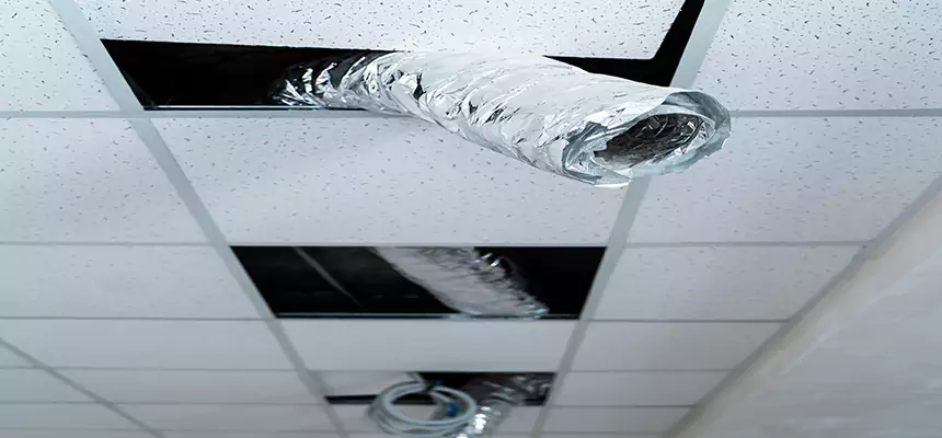 Affordable HVAC Sanitizing After Pest Removal in Laguna Hills