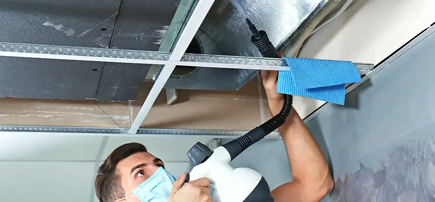Our Air Duct Rodent Removal Services in Laguna Hills, CA