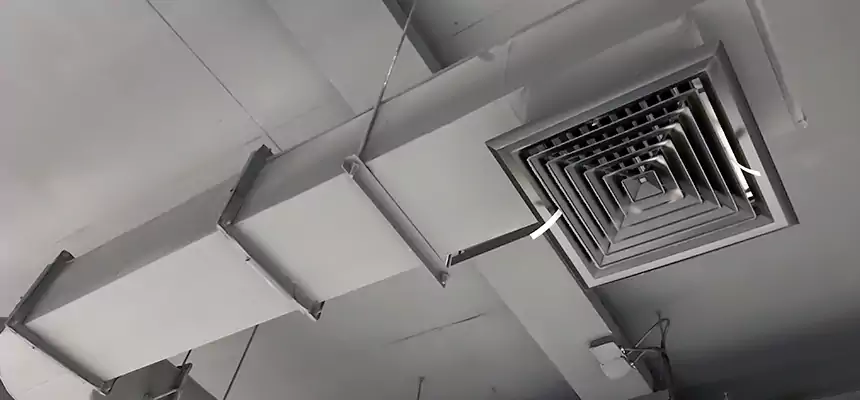 Our Pest Removal From Ducts Services in Laguna Hills, CA