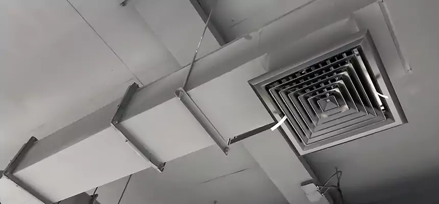 Our Rodent Droppings In Vents Services in Laguna Hills, CA