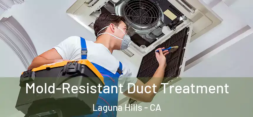 Mold-Resistant Duct Treatment Laguna Hills - CA
