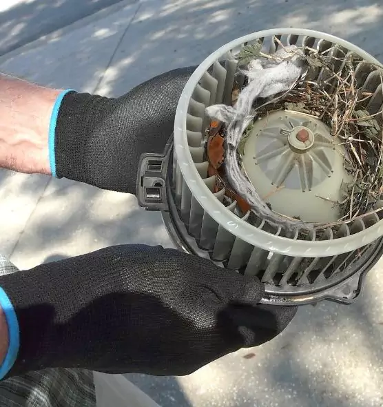 About Air Duct Mice Removal in Laguna Hills, CA