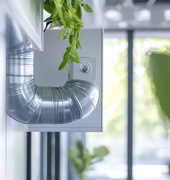 Professional Eco-Friendly Duct Cleaning Services in Laguna Hills, CA