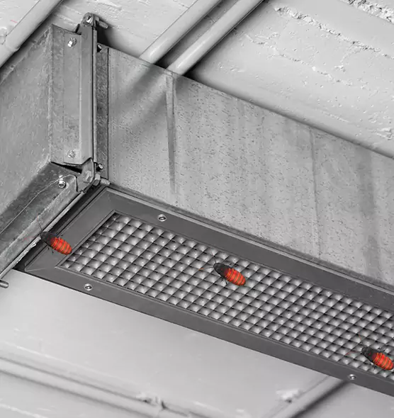 Affordable Insect Removal from Air Ducts in Laguna Hills, CA