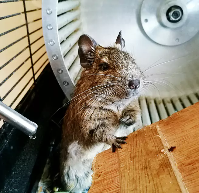 Why Homeowners & Businesses Trust Us Laguna Hills, CA