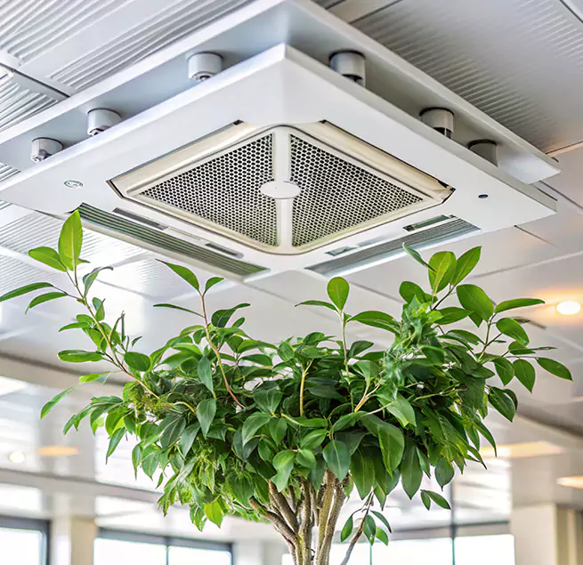 Why Homeowners & Businesses Trust Us in Laguna Hills, CA