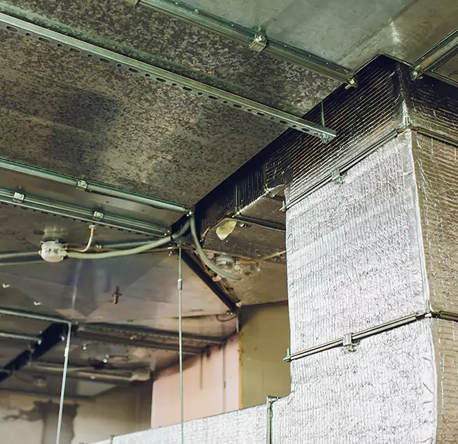 Why Homeowners & Businesses Trust Us in Laguna Hills, CA?